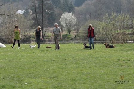 skupiny ZOP