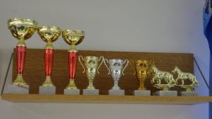 poháry a trofeje