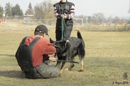 5. část fotek z obran 23.2014
