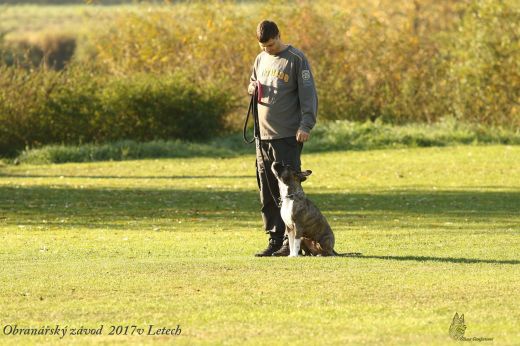 Pavel Klauser a&nbsp;Amálka - kategorie ZZO