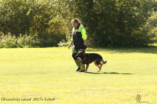 Majka Šubrtová a&nbsp;Yukon