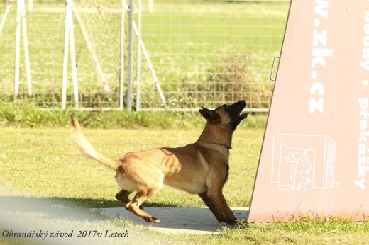 Vratislav Mazánek a&nbsp;Picasso