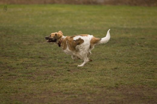 1. část fotogalerie ze 14.1.2018