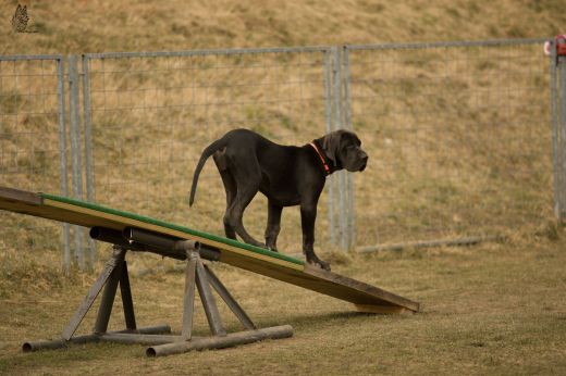2.&nbsp;ČÁST FOTEK ZEE 4.3.2018