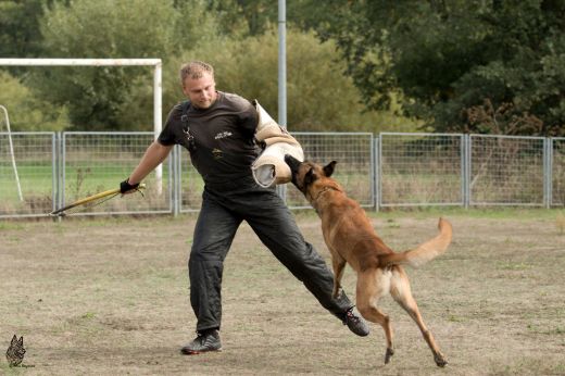 ODKAZ NA&nbsp;FOTOGALERII Z&nbsp;TRÉNINKU OBRAN 15.9.2018