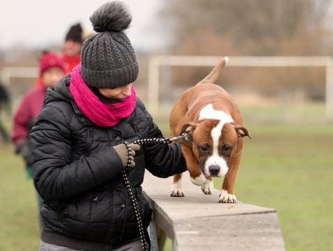 ODKAZ NA 1. ČÁST FOTOGALERIE ZE 13.1.2019