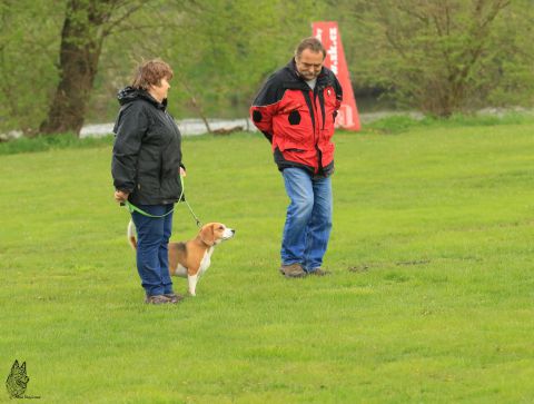 zkoušky 22.&nbsp;dubna 2017&nbsp;- 2.&nbsp;část individuálních poslušností