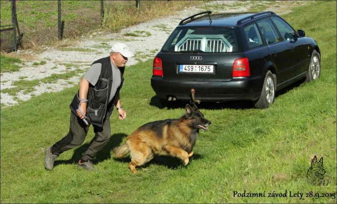 https://vanza.rajce.idnes.cz/obranar-1-cast/