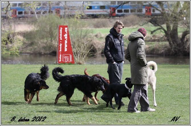 https://vanza.rajce.idnes.cz/mala-stenata-8-4-2012/