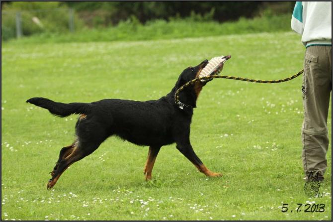 https://vanza.rajce.idnes.cz/5-7-2013-beaucerons/