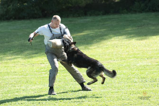 https://eu.zonerama.com/ZKOLETY/Album/13908301