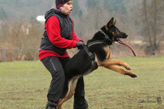 14.2.2015 obrana - Ilona