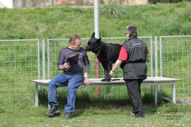 zkoušky 11.4.2015-ostatní foto