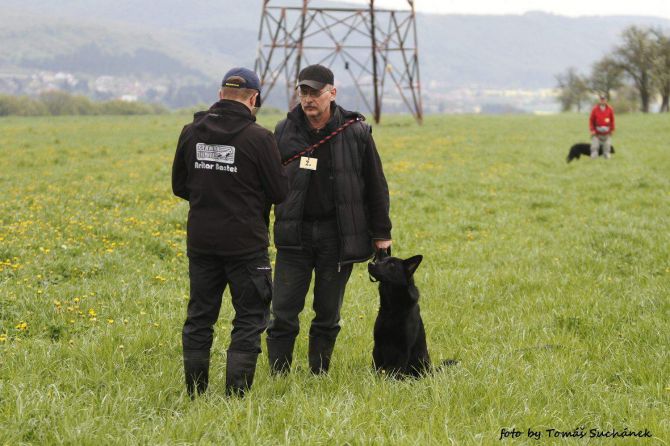 https://vanza.rajce.idnes.cz/zavod-2-5-2015-stopy/