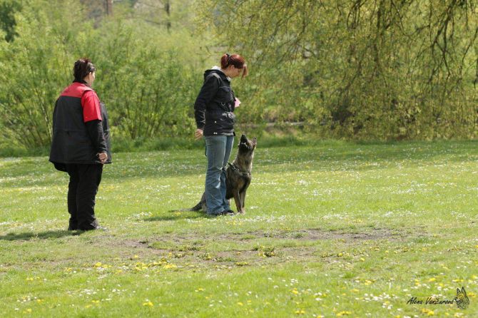 https://vanza.rajce.idnes.cz/Petra-Bursikova-Gisele-zvv1-2-5-2015