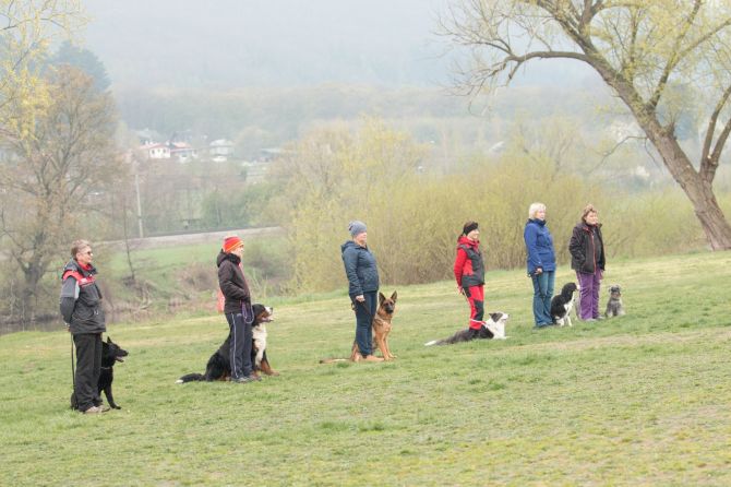 1. část fotek ze 14.4.2019