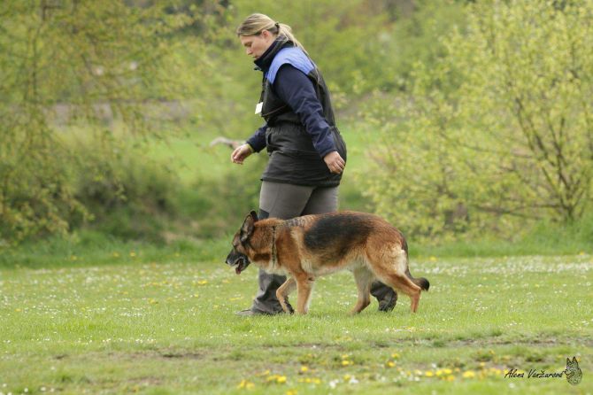 https://vanza.rajce.idnes.cz/Katka-Klouckova-Cora-Pulnocni-mesic-zavod-2-5-2015-kat-zvv2/