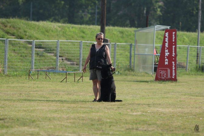 zkoušky 13.6.2015- 1.&nbsp;část