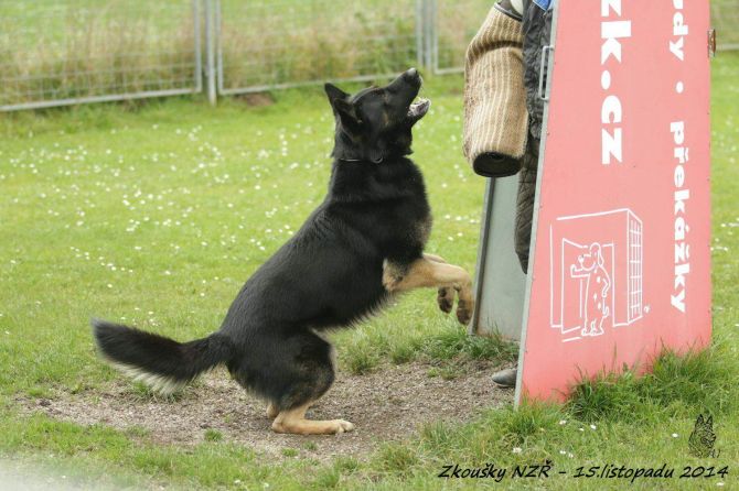 https://vanza.rajce.idnes.cz/obrana-zkousky-nzr-15-11-2014/