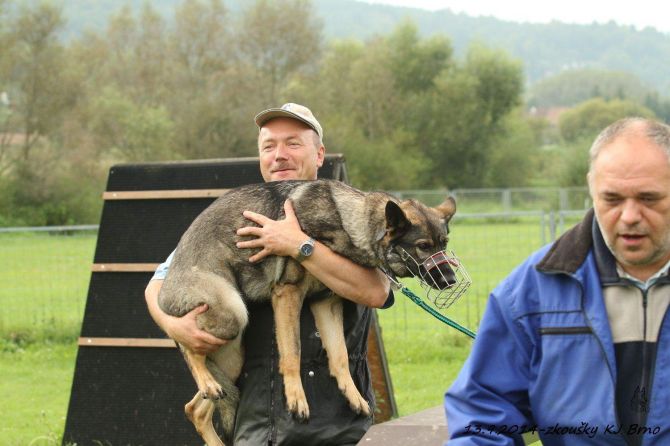https://vanza.rajce.idnes.cz/foto-zkousky-13-9-2014-VI