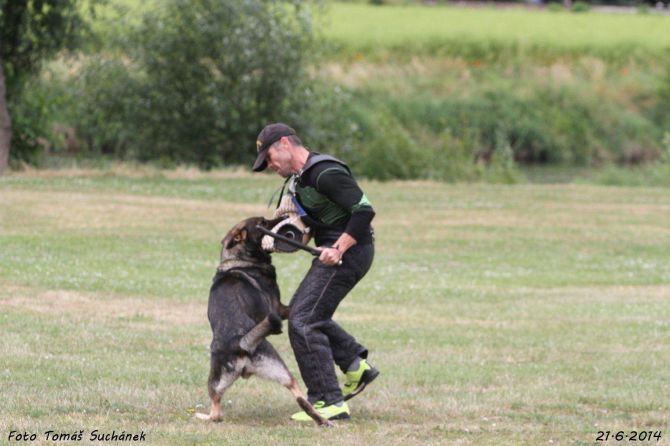 https://vanza.rajce.idnes.cz/zkousky-21-6-2014-tomas/