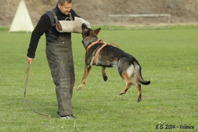 https://vanza.rajce.idnes.cz/Xanto-z-Gargamellu-8-5-2014/