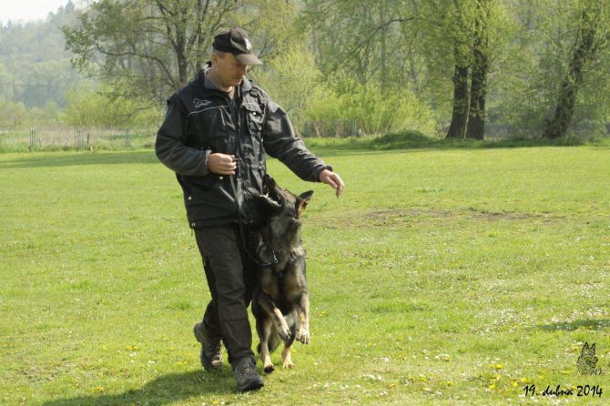 https://vanza.rajce.idnes.cz/skupiny-19-4-2014-ZOP/