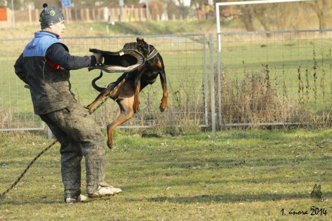 https://vanza.rajce.idnes.cz/Ambra-Carlos-Bohemia-1-2-2014