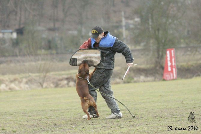 https://vanza.rajce.idnes.cz/gass-23-2-2014/