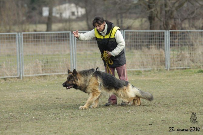 https://vanza.rajce.idnes.cz/ivana-frenk-23-2-2014/