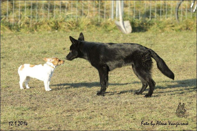 https://vanza.rajce.idnes.cz/stenata-12-ledna-2014-II/