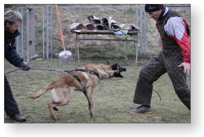 https://vanza.rajce.idnes.cz/obrany18-2-2011/