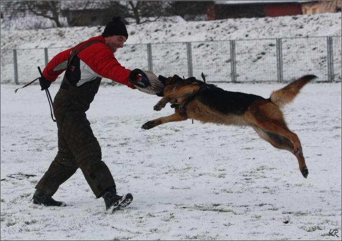 https://vanza.rajce.idnes.cz/obrany-22-1-11/