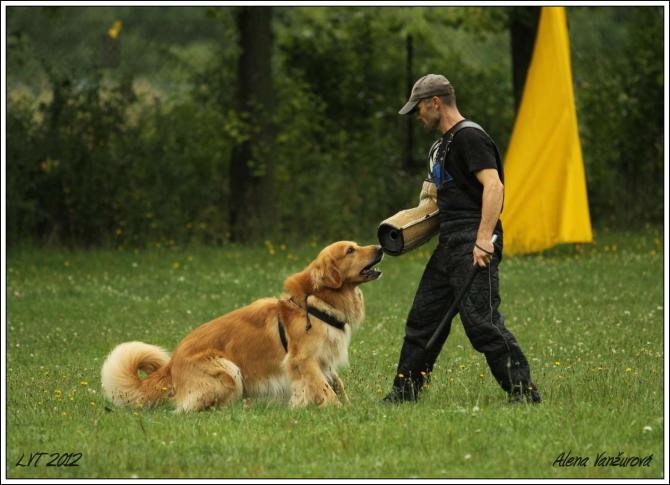 https://vanza.rajce.idnes.cz/Semik-29-7-12/