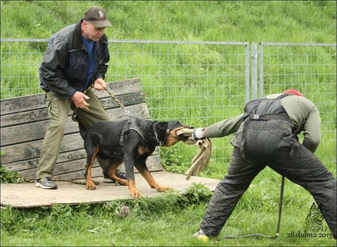 https://vanza.rajce.idnes.cz/beaucerons-28-4-2013