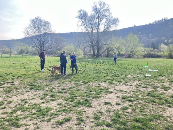 zkoušky rally obedience