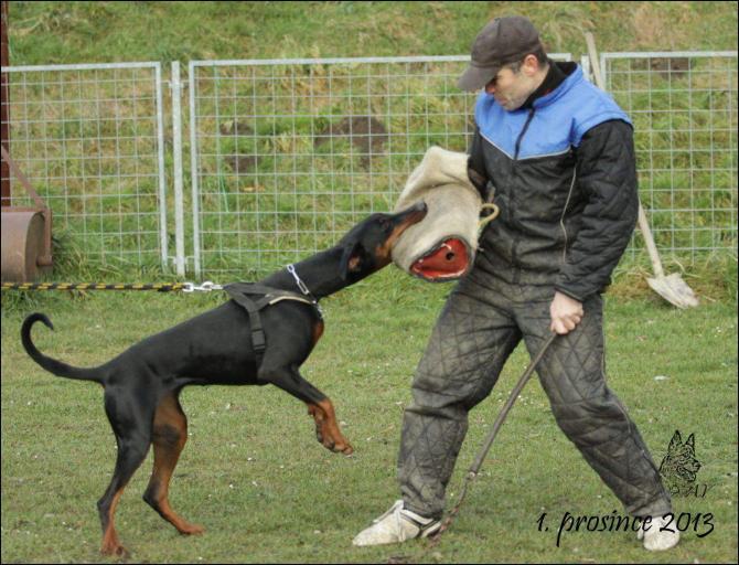 https://vanza.rajce.idnes.cz/1-12-2013-obrany-I/