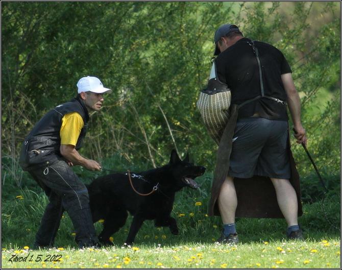 https://vanza.rajce.idnes.cz/zavod-1-5-2012-ostatni/