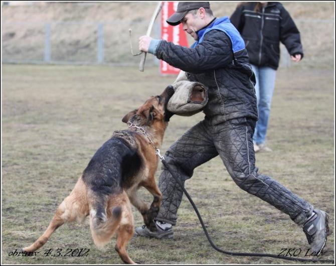 https://vanza.rajce.idnes.cz/obrany-4-3-2012-ostatni-u/