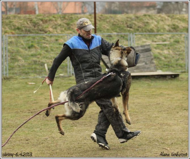 https://vanza.rajce.idnes.cz/Honey-16-4-2013/