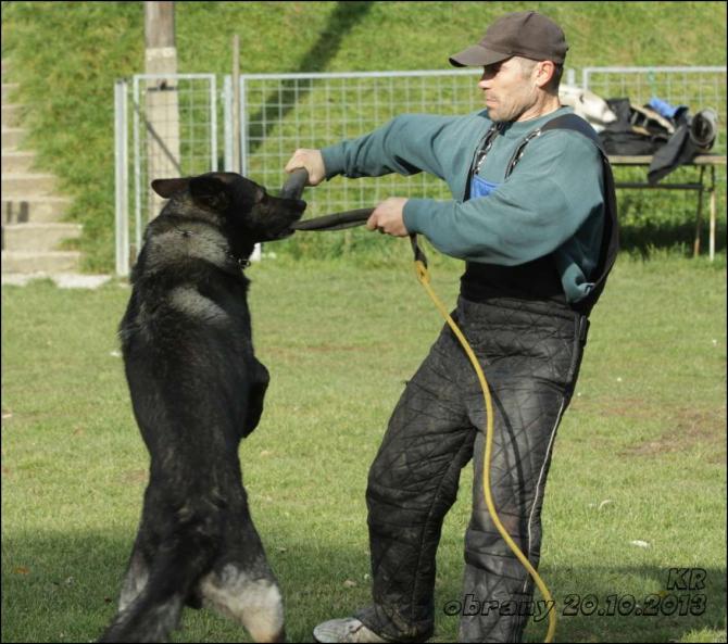 https://vanza.rajce.idnes.cz/obrany-20-10-2013-I/