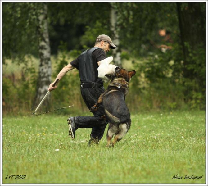 https://vanza.rajce.idnes.cz/29-7-2012-alf/