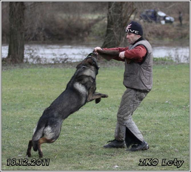 https://vanza.rajce.idnes.cz/obrany-18-12-2011-web/