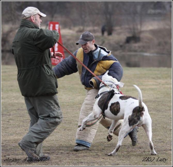 https://vanza.rajce.idnes.cz/obrany-4-3-2012-buldog-u/