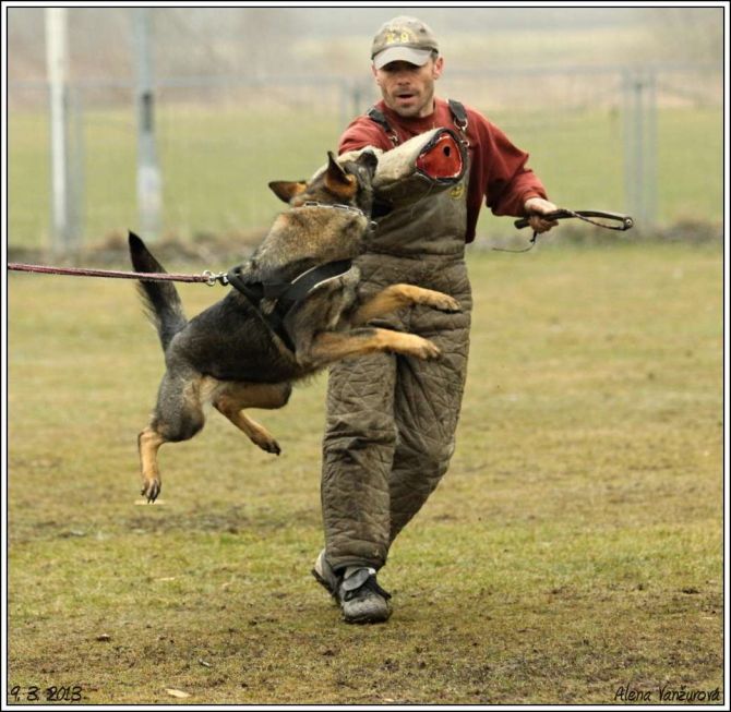 https://vanza.rajce.idnes.cz/obrany-9-3-2013-2