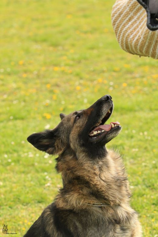 Miroslav Krbec a&nbsp;Ytta z&nbsp;Kraje Karla IV.