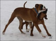 Náhodná fotogalerie