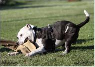 Náhodná fotogalerie