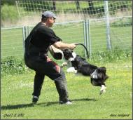 Náhodná fotogalerie