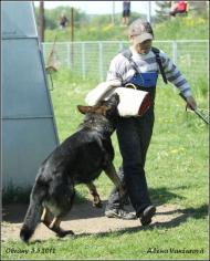 Náhodná fotogalerie